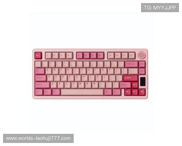 在ttc键盘官网购买的机械键盘如何进行日常维护与保养，延长使用寿命